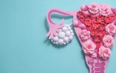 Polycystic Ovary Syndrome (PCOS)