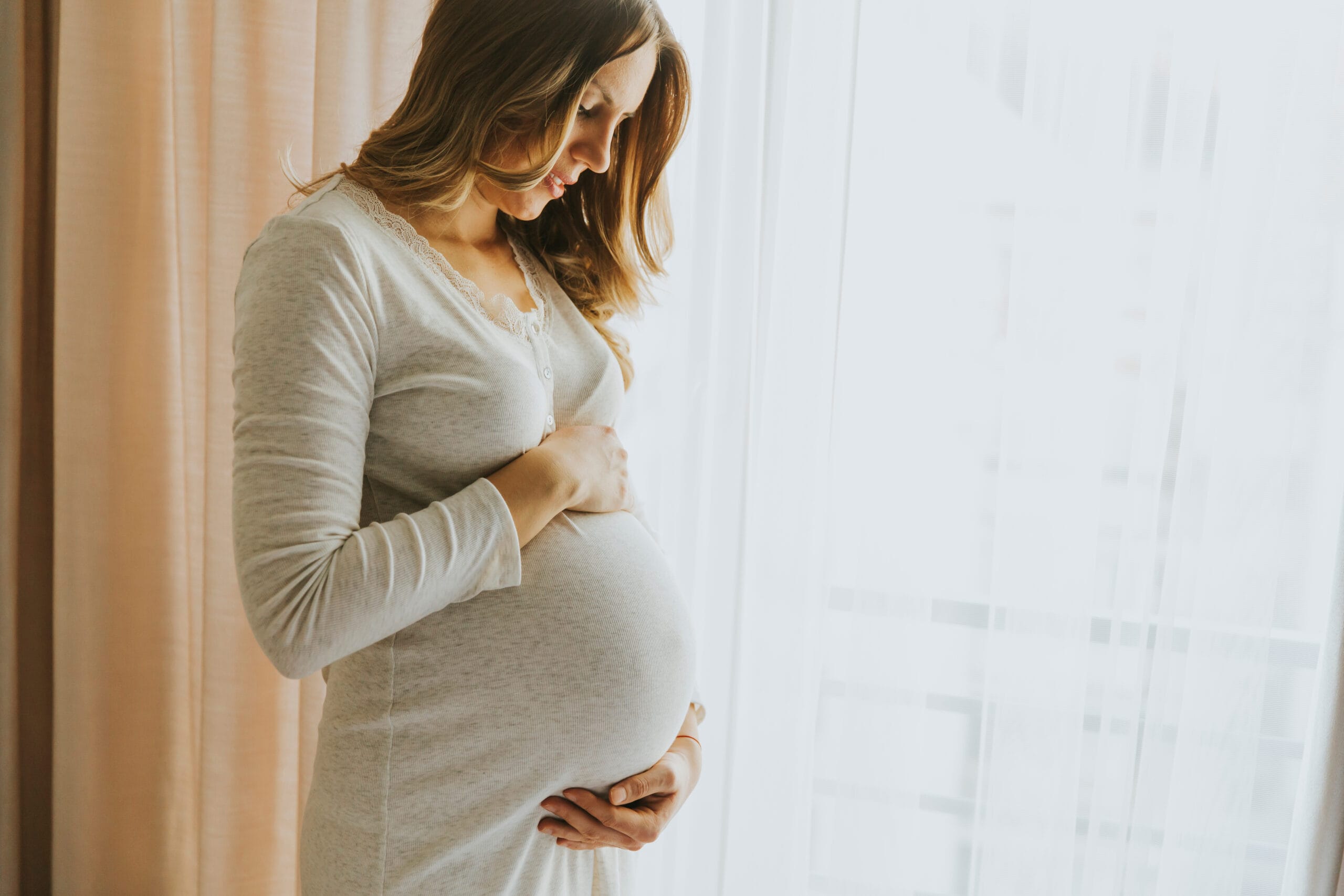 Young pregnant woman by the window