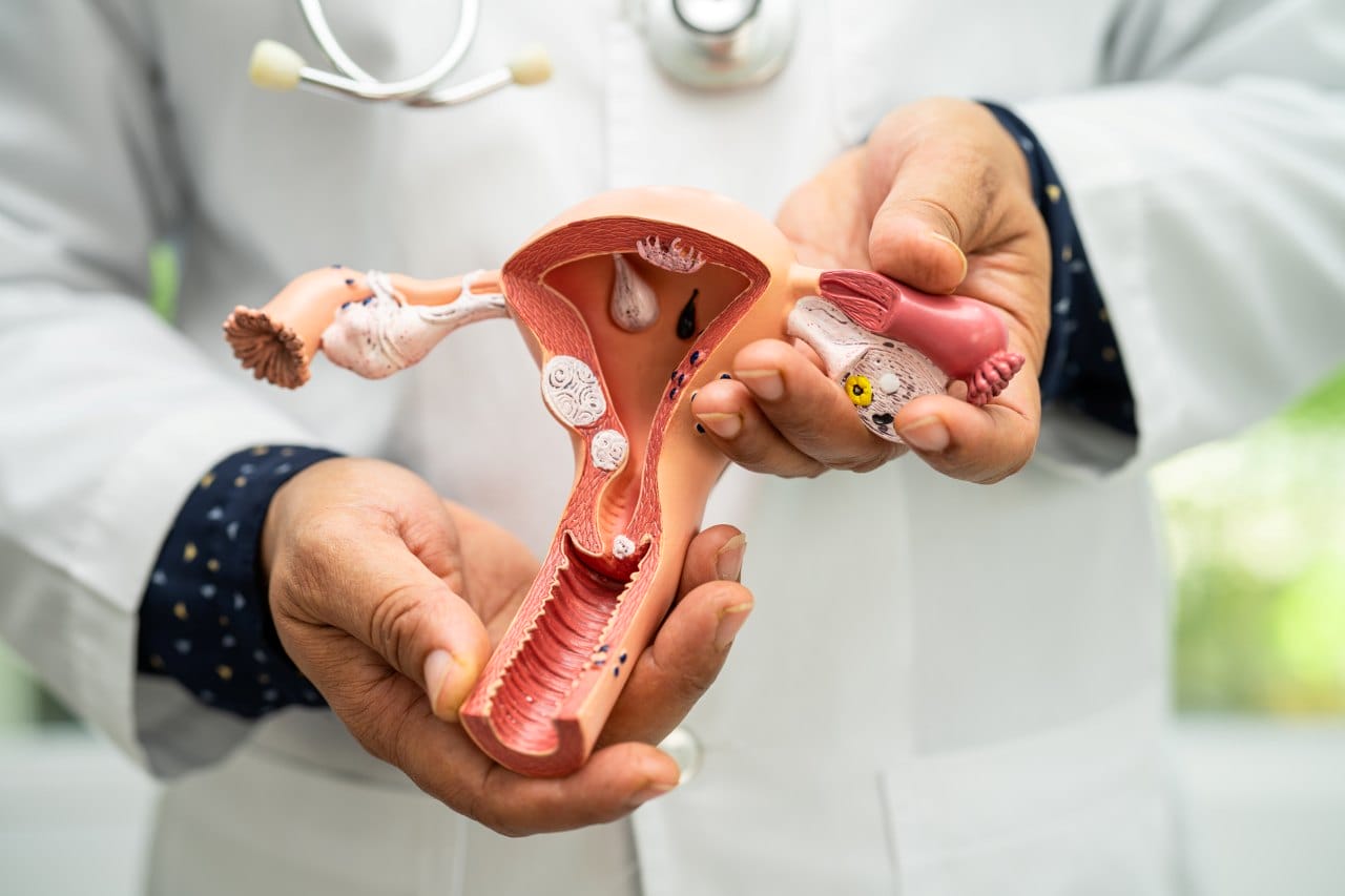 how to prepare for your first obgyn consultation doctor holding an anatomy model of a uterus for study