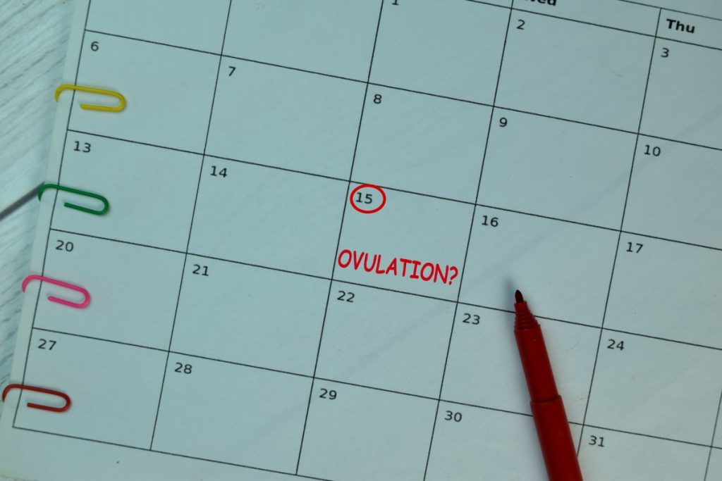 Ovulation on monthly Calendar and marked 15th with a red marker