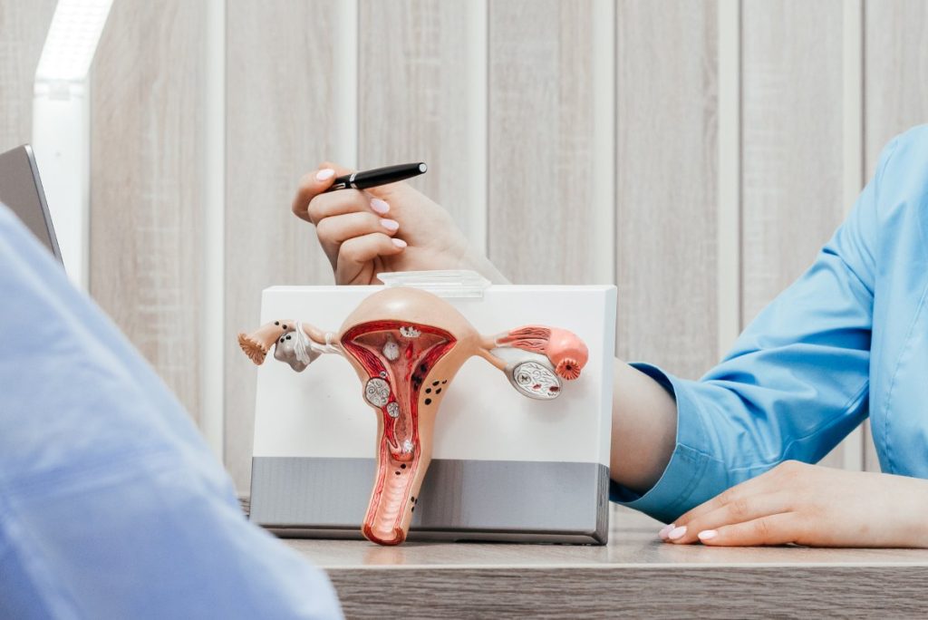 Gynecologist doctor shows pen on plastic model of uterus and ovaries
