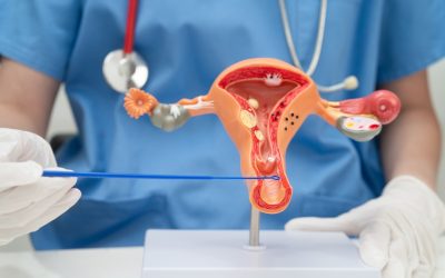 Pelvic Exam: What You Need To Know