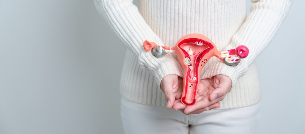 Woman holding Uterus and Ovaries model